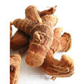 Professional supply purity natural buy galangal with high quality